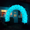 Ballonnenboog 6 met led verlichting 